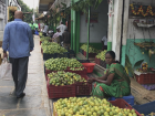 The fruit market, where you can see lines of oranges!