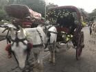 Riding on a rickshaw