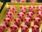 Marzipan pigs are given as gifts during New Years