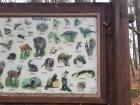 This sign was at the entrance to the forest and shows the animals that commonly live there