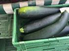 The biggest zucchini I have ever seen at the farmer's market in Geneva. 