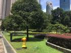 A park in the city (KL)