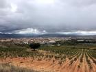 This is a view of all of Logroño from a nearby hill! I hiked up the hill with my friends, but then it started to rain!