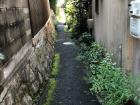 To get to my house, I turn from the road into alleys like this