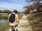 Biking along the Kamo River, which runs through downtown Kyoto