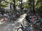 Bikes parked outside a Kyoto University building