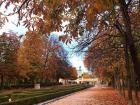 Walking a path in Retiro Park to the lake