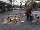 A woman feeding the pigeons and other birds
