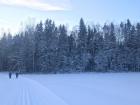 My view from the cross-country ski trail on the way to the Sami school!