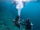 Once I learned how to take my mask off and breathe underwater, there was nothing to stop me from enjoying the sea life!