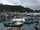 Boats inside a marina 