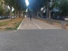 Bike and walking lane on Sderot Nordau