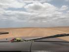 Entrepreneur driving me around the desert in La Guajira