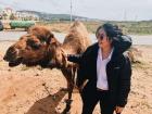 I love camels and got to pet some baby camels in Tangier, Morocco