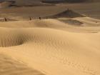 In the Negev (southern region of Israel), incredibly dry sand dunes blow around with no water in sight