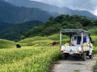 Farmers working the fields in the mountains near my home