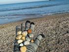 Collecting shells at Zoom Beach in Constanta