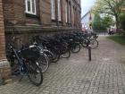 Bikes parked outside of school
