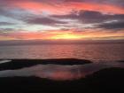 This was a sunset beach full of starfish!