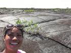 Do you think Pine runs around in lava fields like this one?