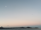 Watching the sunset over Auckland Harbour