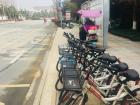 Shared bikes next to the bus stop 