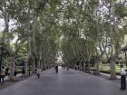 A stroll through Fuxing Park 