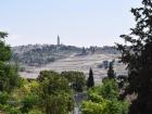 A view of the Mount of Olives, which is located in Jerusalem