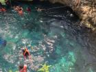 Cenotes make great swimming holes