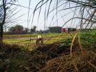 A farmer waters his crops while colorful fabric dries in the background