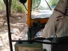 View from the backseat of a rickshaw