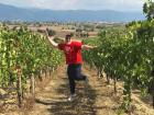 jumping through the Italian vineyards!