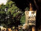 This poster, bent and worn by the rain, was pasted to the tree for International Women's Day.