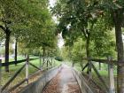 There are many paths and parks to walk dogs in Logroño 