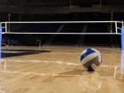 Helena plays volleyball!  (photo credit: Google Images) 