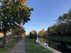 Fall foliage (or leaves) along a Dublin canal