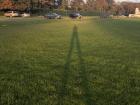 When the sun gets low in the sky around four p.m., my shadow gets super long