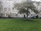 Trinity College has green spaces, but you can't walk on them