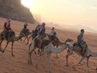 Camel caravan through Wadi Rum