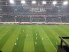 A view of the field I visited just yesterday