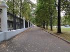 My walk to my first day of classes— Moscow is a very green city!