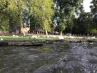 Lots of ducks and swans by the riverside