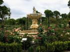 The beautiful fountain in the center of La Rosaleda