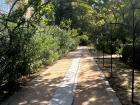 A walkway through trees in Madrid