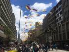 The Colombian flag lines an entire street downtown