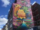 One of the beautiful murals near my house