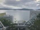 A view of campus from my room