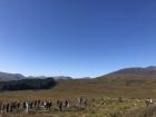 A picturesque spot in the Highlands