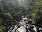 During her visit, Elizabeth and I explored the Hermitage woodland reserve