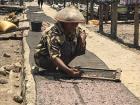 An old lady drying baby anchovies in front of her house